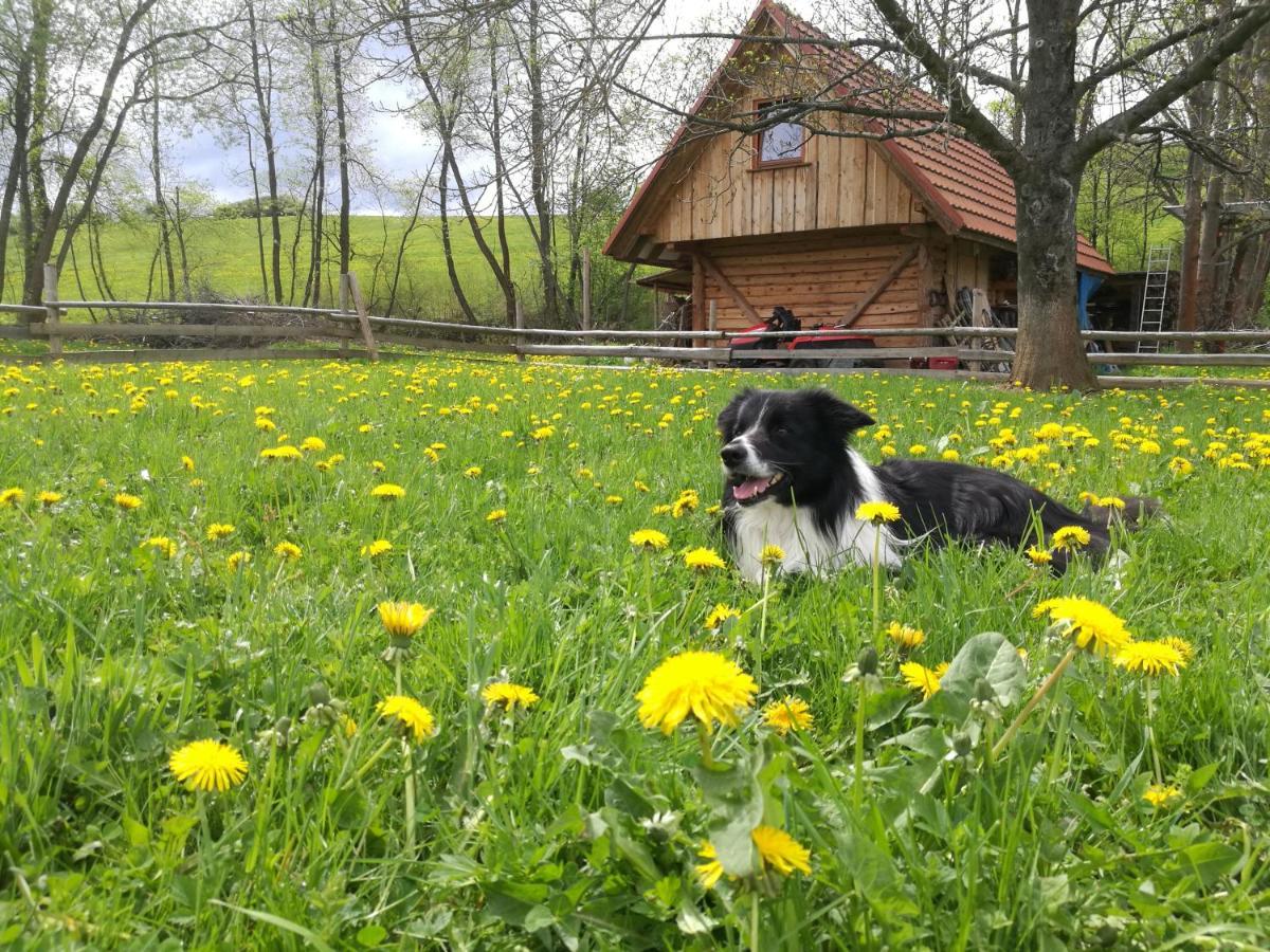 Holiday Home Holiday Raj Bešeňová المظهر الخارجي الصورة